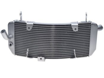 Ūdens dzesēšanas radiators priekš YAMAHA TMAX 530 2017-2019