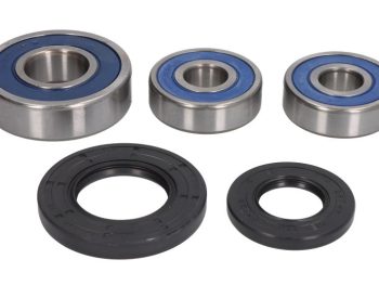 Riteņu gultņu komplekts Aizmugurē (ar blīvslēgiem) SUZUKI GS, GSF, GSX, GW, SV, VZ; YAMAHA FZR 250-1000 1979-2017